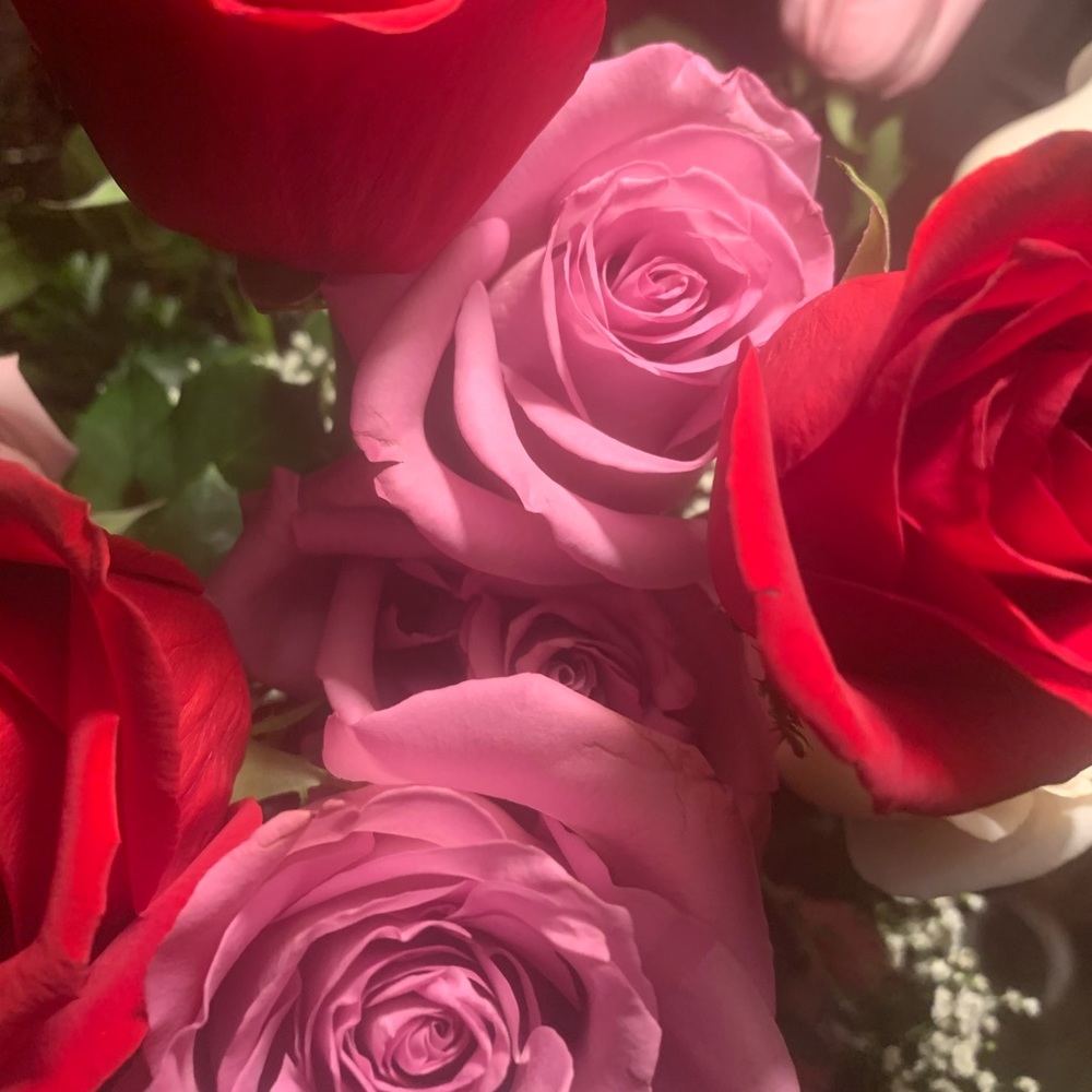 Meet your Posher, Pink Petal